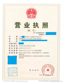 上海注冊非中介留學服務公司 類別、經營范圍與票務代理指南