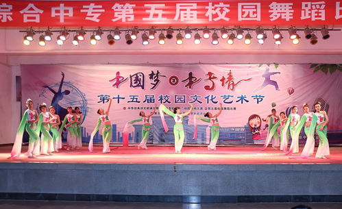 舞動精彩，炫出自我——記第十五屆校園文化藝術節舞蹈比賽決賽