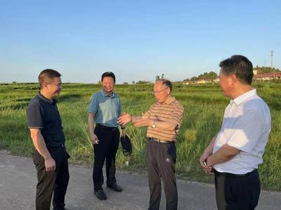以高光品牌與文化藝術為翼，南充助力省域經濟副中心建設的戰略路徑